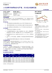 电气设备行业研究周报：三元材料市场两极分化严重，行业龙头逐渐受益