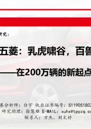 中国神车系列专题研究：上汽通用五菱：乳虎啸谷，百兽震惶-在200万辆的新起点上蓄势待发