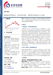 化工：美国退出伊核协议，总体利好油价，推荐原油及煤化工产业链