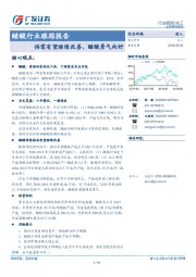 醋酸行业跟踪报告：供需有望继续改善，醋酸景气向好