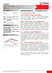 电力设备新能源行业周报：继续看好新能源车，光伏短期或有波动