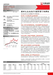 食品饮料行业2018年中期策略：看好大众品在扩内需背景下的弹性