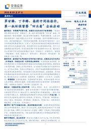 基础化工行业周报：草甘膦、丁辛醇、染料中间体涨价，第一批环保督察“回头看”全面启动