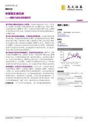 钢铁行业热点专题研究：中厚板王者归来