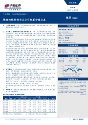 计算机行业周报：持续性较好的白马公司配置价值凸显