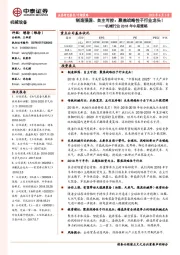机械行业2018年中期策略：制造强国、自主可控：聚焦战略性子行业龙头！
