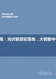 新能源周报：光伏新政初落地，大调整中看机会