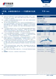 中期策略补充报告：3季度：社融强则银行兴