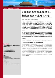 5月乘联会行业数据点评：5月乘用车市场小幅增长，新能源乘用车暴增1.4倍