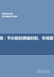 新能源行业周报：新能源周报：平价前的黑暗时刻、布局期