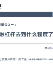 金融去杠杆系列报告之一：金融杠杆去到什么程度了？