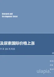 化工行业2018年第24周周报：PVC价格及尿素国际价格上涨