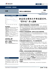 微信生态圈深度报告：垂直类自媒体打开新流量空间，“货币化”步入高潮