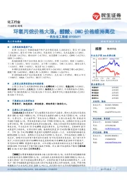 化工行业周报：环氧丙烷价格大涨，醋酸、DMC价格维持高位