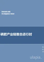 化工行业深度研究：中国磷矿-磷肥产业链整合进行时