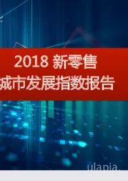 2018新零售城市发展指数报告