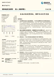 燃料电池行业月报：各地补贴政策落地，燃料电池有序发展