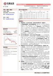 电力设备新能源第29周周报：电动车持续把握龙头，新能源发电蓄势待发