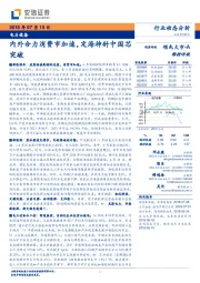 电力设备行业动态分析：内外合力消费市加速，定海神针中国芯突破