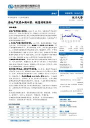 房地产行业动态报告：房地产投资如期回落，销售持续强劲