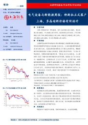 电气设备与新能源周报：特斯拉正式落户上海，多晶硅料价格有所抬升