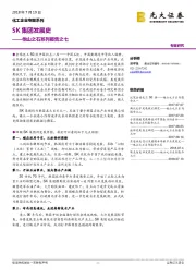 化工企业专题系列:他山之石系列报告之七-SK集团发展史