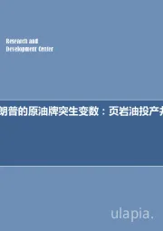 石油开采行业周报：每周油记：特朗普的原油牌突生变数：页岩油投产井数环比首降！