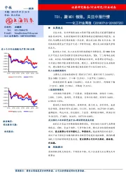 化工行业周报:：TDI、聚MDI领涨，关注中报行情