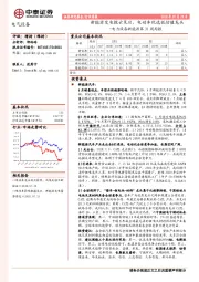 电力设备新能源第31周周报：新能源发电拨云见日，电动车优选低估值龙头