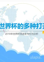 2018年世界杯球迷与行为分析：2018世界杯的多种打开姿势