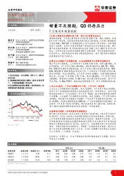 7月乘用车销量前瞻：销量不及预期，Q3仍存压力