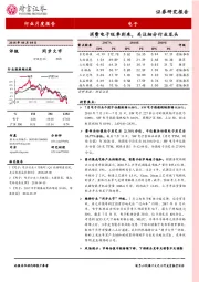 电子行业月度报告：消费电子旺季到来，关注细分行业龙头