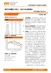 汽车行业周报：乘用车销量压力较大，龙头车企逆势增长