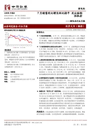 锂电池行业月报：7月销售同比增长环比持平 关注结构性机会