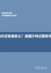 石油开采行业周报：每周油记：油价还有暴跌么？美国沙特近期联手操纵手法一览！