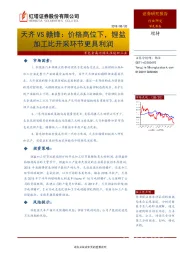 有色金属冶炼及压延加工行业深度报告：天齐VS赣锋：价格高位下，锂盐加工比开采环节更具利润