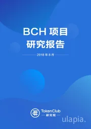 BCH项目研究报告