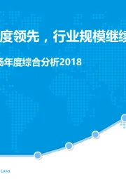 中国互联网广告市场年度综合分析2018：数字化进程高度领先，行业规模继续保持稳定增长