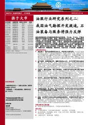 油服行业研究系列之二：我国油气勘探开发提速，石油装备与服务将强力反弹
