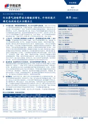 化工行业2018年中报总结：行业景气持续带动业绩靓丽增长，外部环境不确定性扰动龙头业绩为王