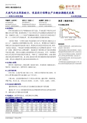 环保行业研究周报:天然气行业再添助力,顶层设计保障全产业链协调稳定发展