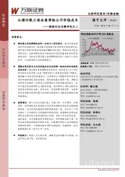 保险行业专题研究之二：从偿付能力报告看寿险公司价值成长