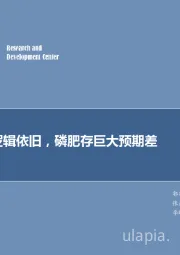 化工行业深度研究:磷矿减产逻辑依旧,磷肥存巨大预期差