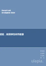 煤炭行业周报：淡季煤价高位坚挺，能源弹性依然健康