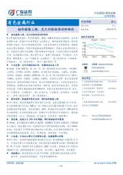 有色金属行业：钴价继续上涨，交叉补贴标准利好铝价