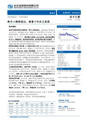 房地产行业动态报告：新开工维持高位，销售下行压力显现