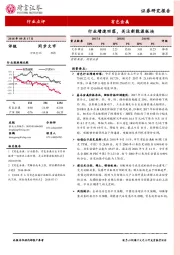 有色金属行业点评：行业增速回落，关注新能源板块