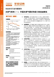 石油石化行业专题报告：天然气系列（1）：中国天然气需求和进口将高速增长
