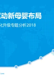 中国母婴社区数字化升级专题分析2018：社区数据驱动新母婴布局