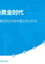 中国出行服务市场数字化升级年度分析2018：共享出行的黄金时代